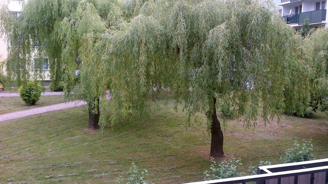 Zielona Herbowa Lublin Kültér fotó